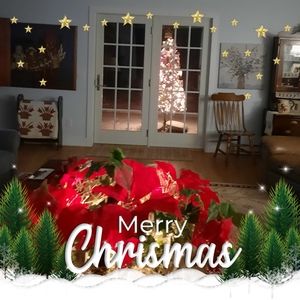 Meet your Posher, Elaine